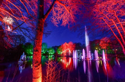 The Allure of Collegedale's Dazzling Lights: A Must-See Experience